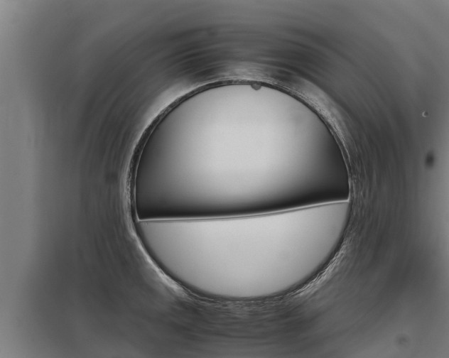 X0000098041141200803280748