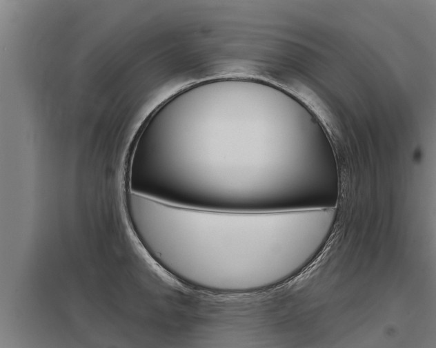 X0000098041142200803280748