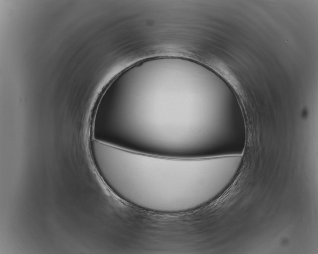 X0000098041144200803280748