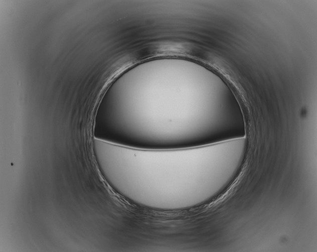 X0000098041145200803280748