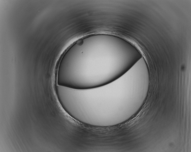 X0000098041147200803280748