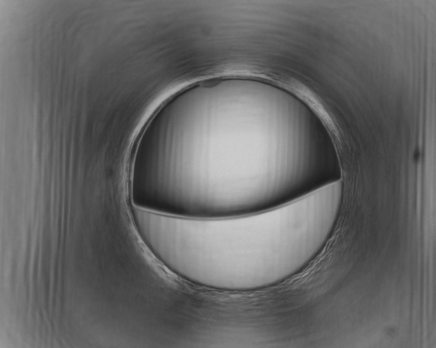 X0000098041148200803280748