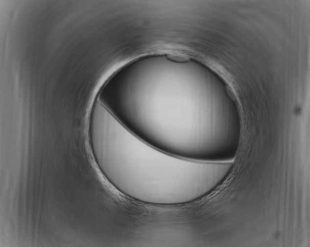 X0000098041152200803280748
