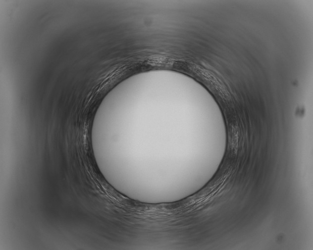 X0000098041154200803280748