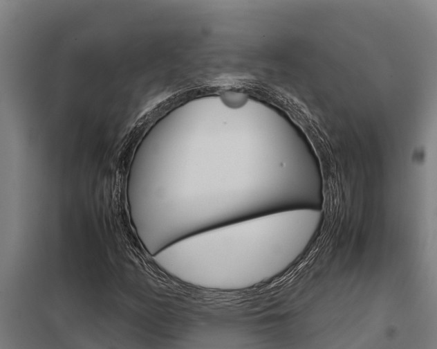 X0000098041158200803280747
