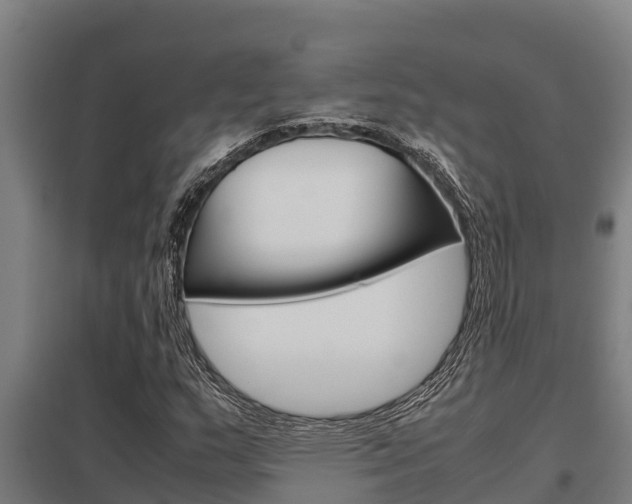 X0000098041159200803280747