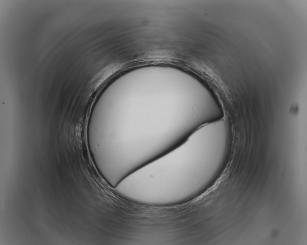 X0000098041162200803280747