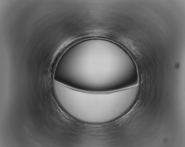 X0000098041164200803280747