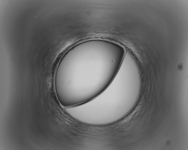 X0000098041165200803280747