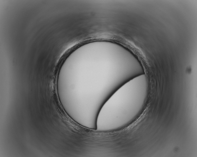 X0000098041166200803280747