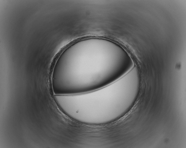 X0000098041168200803280747