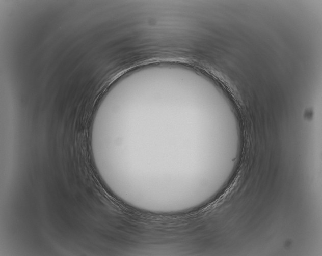 X0000098041169200803280747