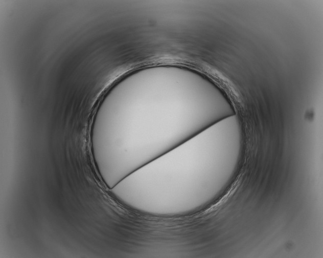 X0000098041170200803280747