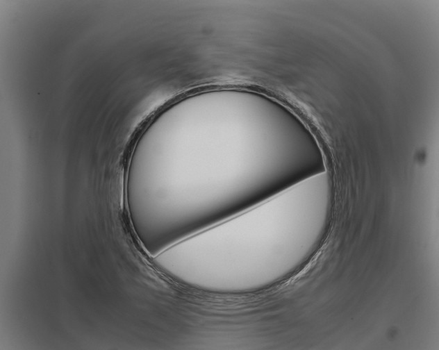 X0000098041171200803280747