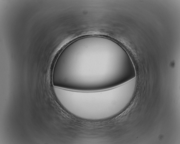 X0000098041173200803280747
