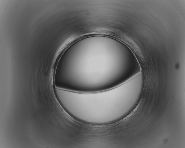 X0000098041180200803280747