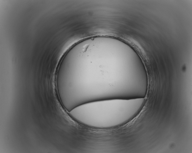 X0000098041182200803280747