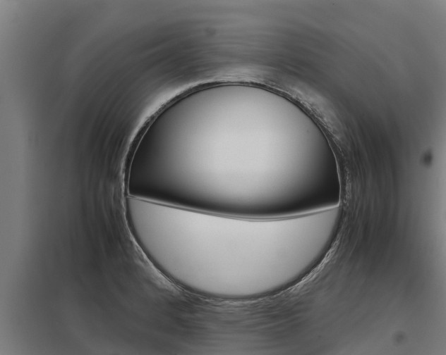 X0000098041184200803280747