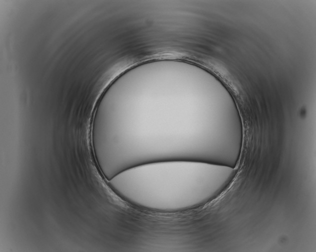 X0000098041186200803280747