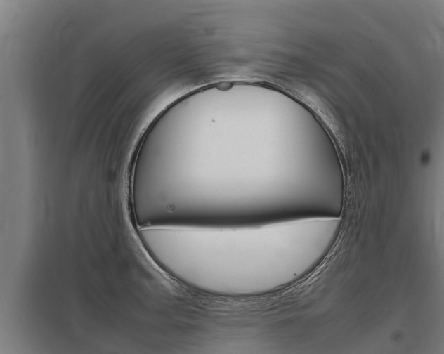 X0000098041187200803280747