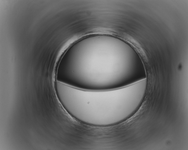 X0000098041188200803280747