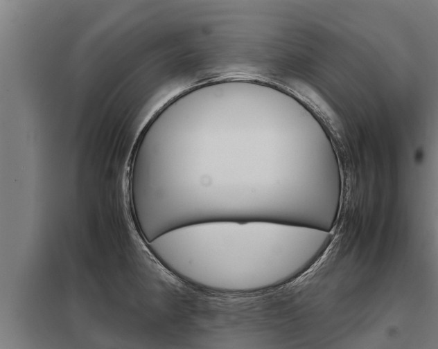 X0000098041190200803280747