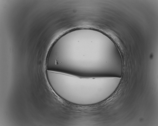 X0000098041191200803280747