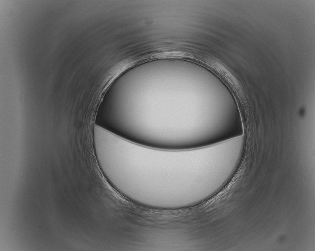 X0000098041193200803280747