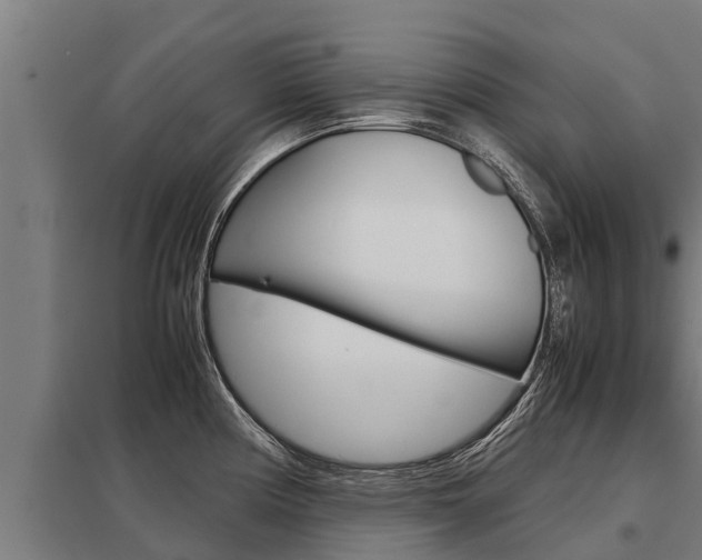 X0000098041194200803280747