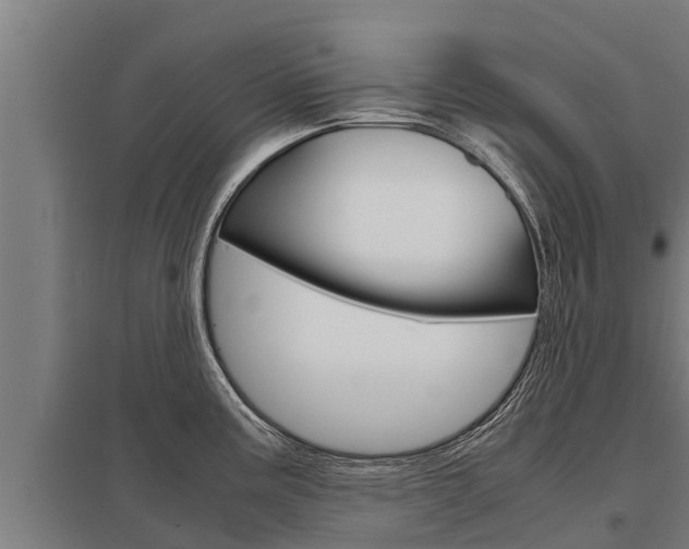 X0000098041195200803280747