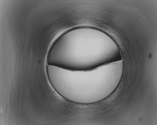 X0000098041199200803280747