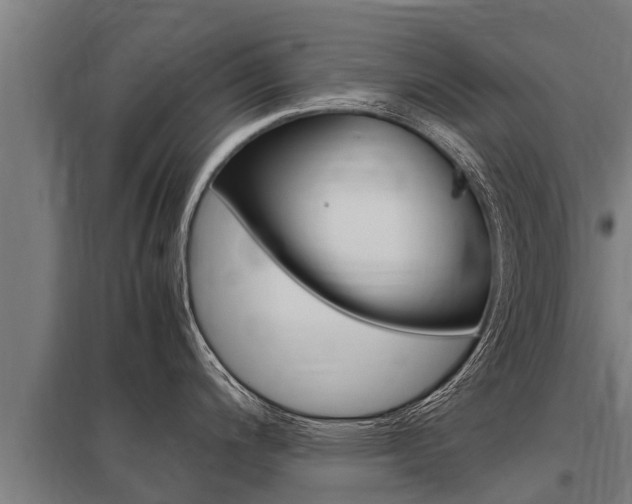 X0000098041200200803280747