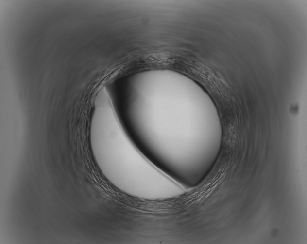 X0000098041201200803280746