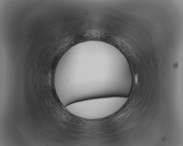 X0000098041203200803280746