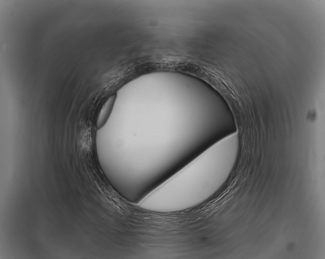 X0000098041204200803280746