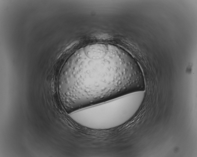 X0000098041205200803280746