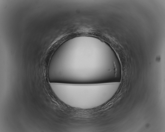 X0000098041206200803280746