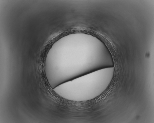 X0000098041207200803280746
