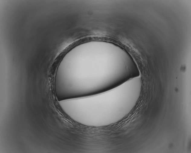 X0000098041208200803280746