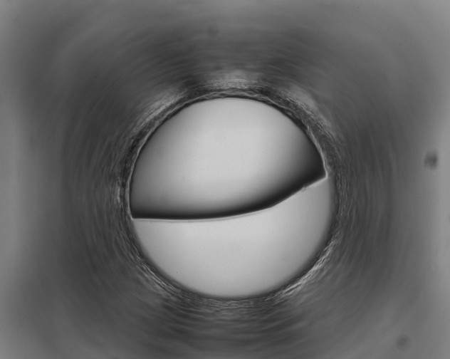 X0000098041209200803280746