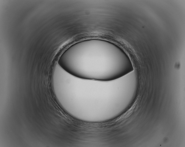 X0000098041210200803280746