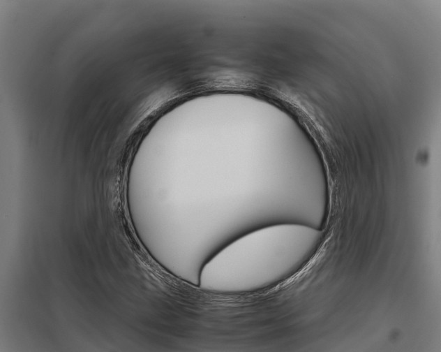 X0000098041211200803280746