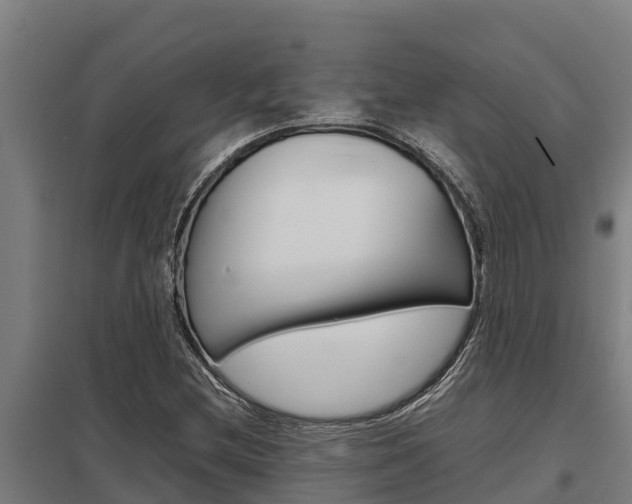 X0000098041212200803280746