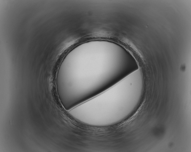 X0000098041213200803280746