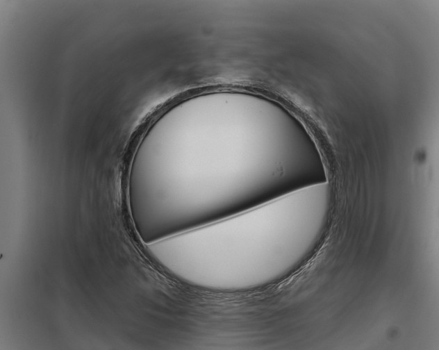 X0000098041214200803280746