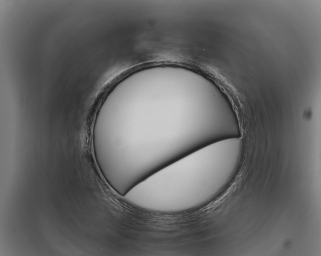 X0000098041215200803280746