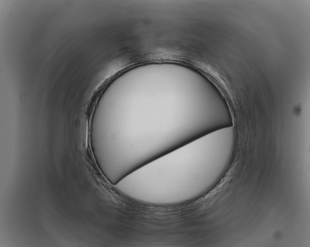 X0000098041219200803280746