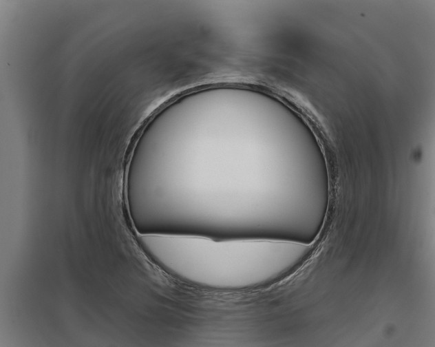 X0000098041220200803280746