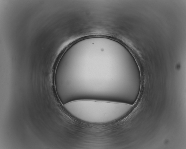 X0000098041222200803280746