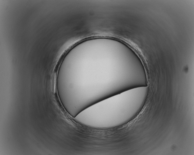 X0000098041223200803280746